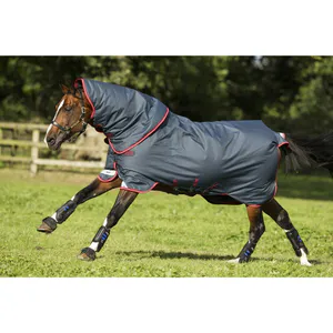Hovedbilde Amigo Bravo 12 Plus T/O 250g
